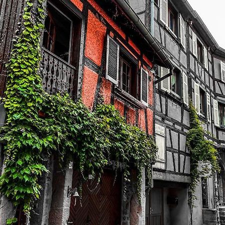La Maison Rouge Au Coeur De La Ville. Olenevka Ngoại thất bức ảnh